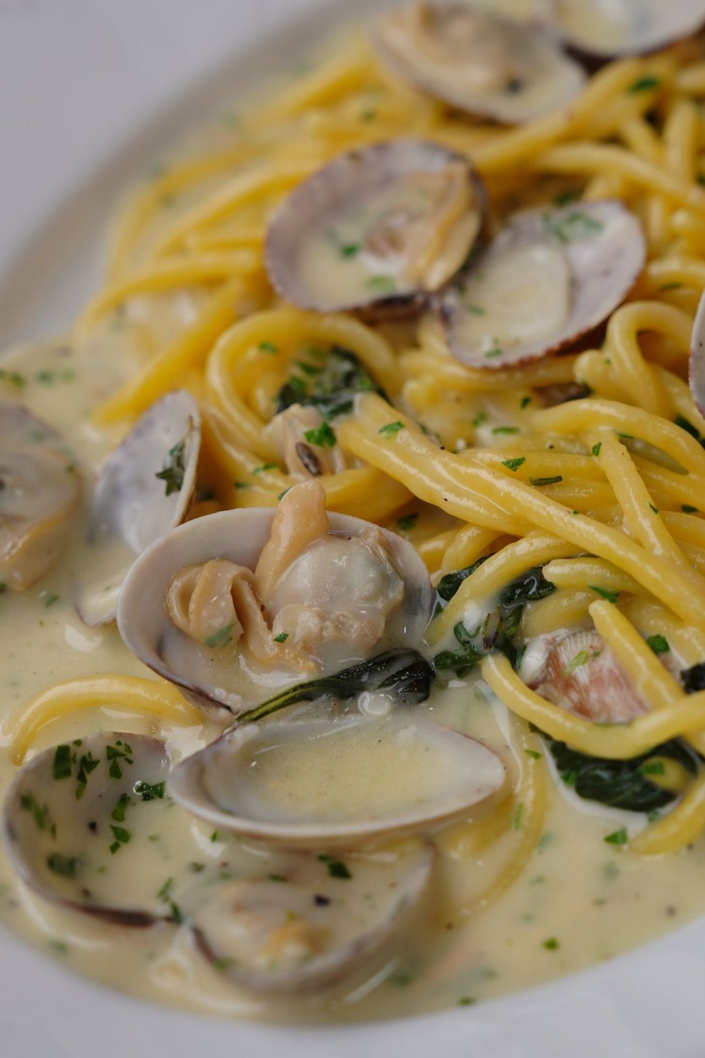 Linguine z małżami vongole