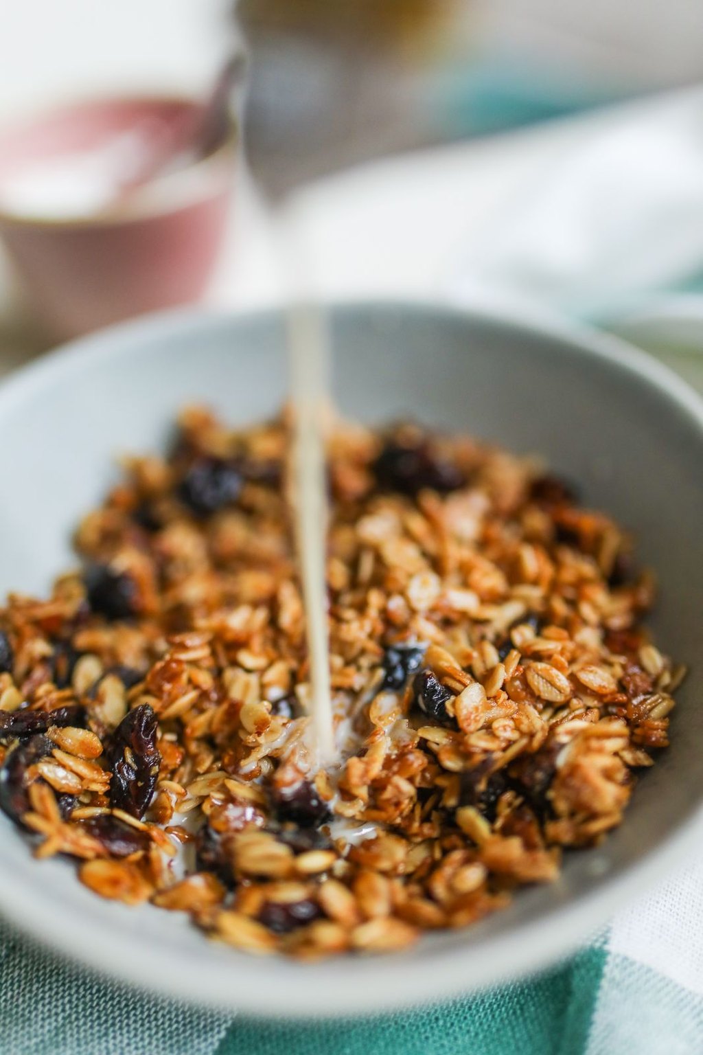 Domowa granola z orzechami i żurawiną