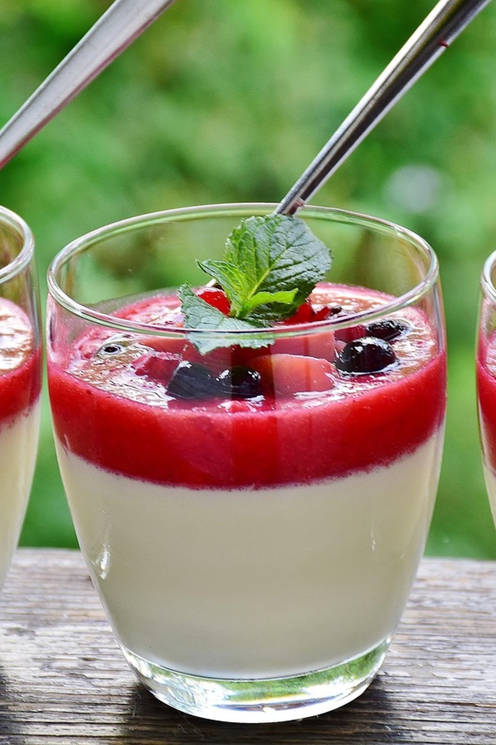 Panna cotta z ricottą i malinowym coulis